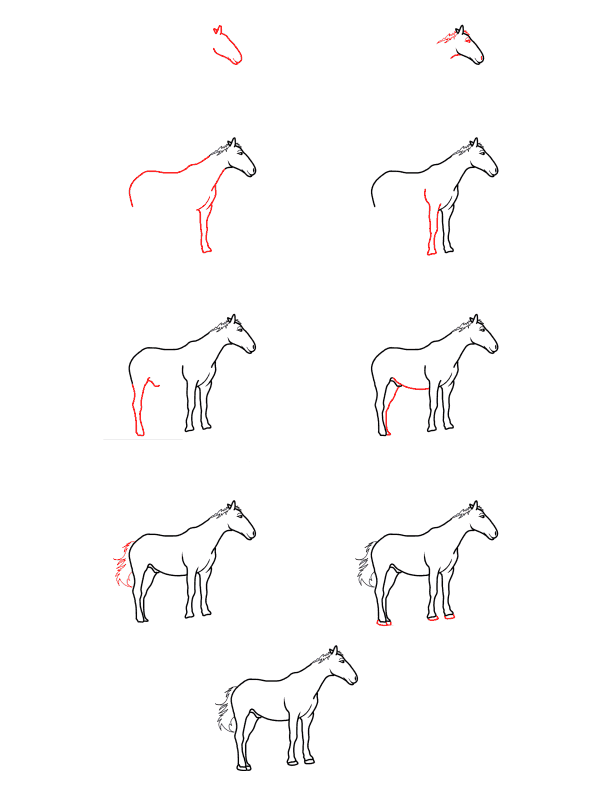 Desenhos de Ideia de cavalo (20)