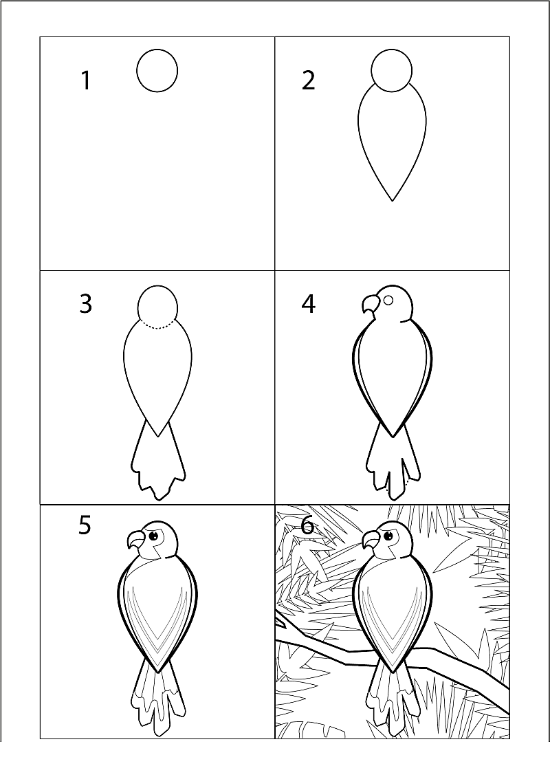 Desenhos de Ideia do papagaio 13