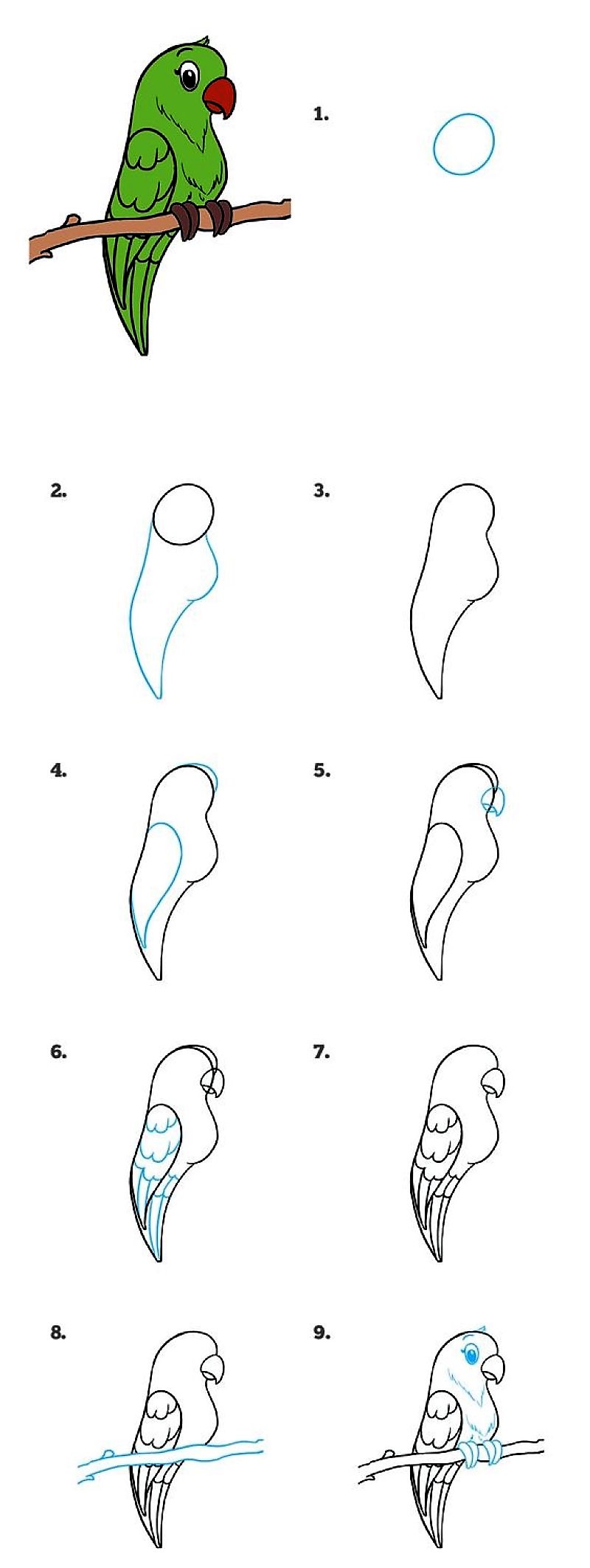 Desenhos de Instruções detalhadas papagaio