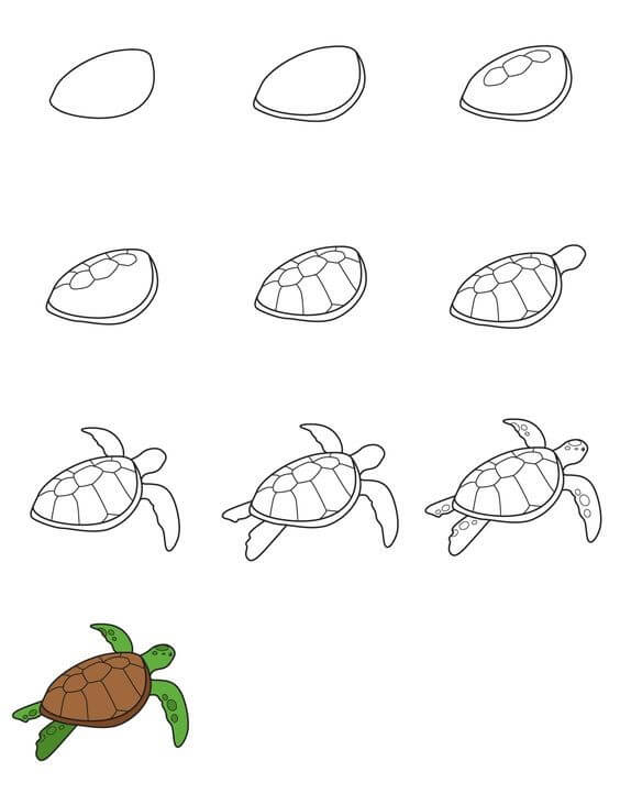 Desenhos de Mar de tartaruga