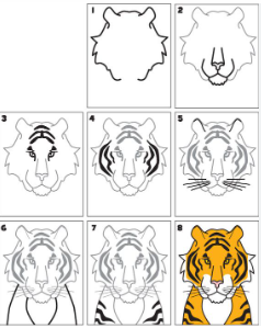 Desenhos de Olhar de tigre