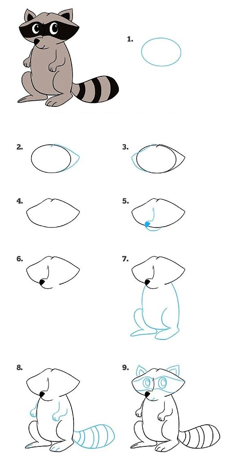 Desenhos de Olho de guaxinim lateral