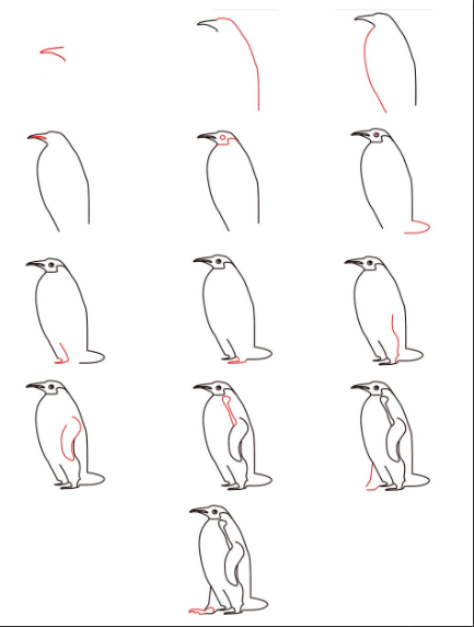 Desenhos de Pinguim detalhado