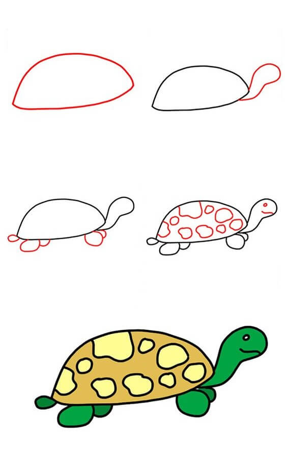 Desenhos de Tartaruga básica