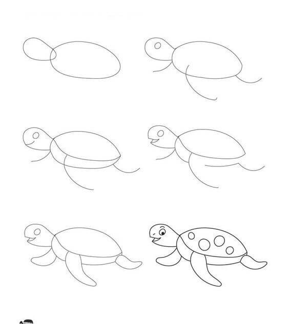 Desenhos de Tartaruga engraçada