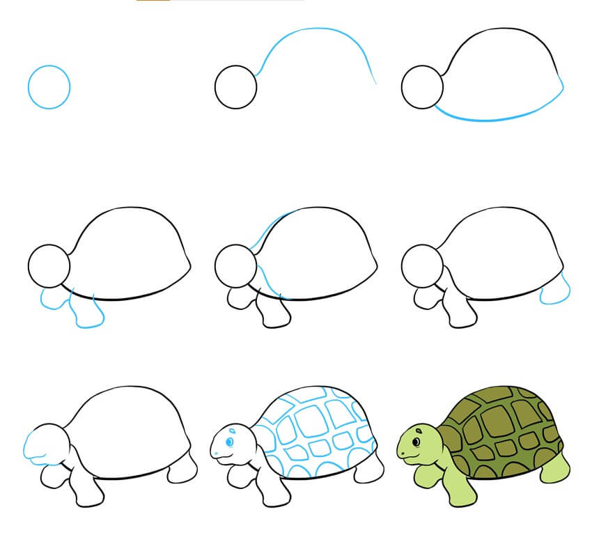 Desenhos de Tartaruga Grande