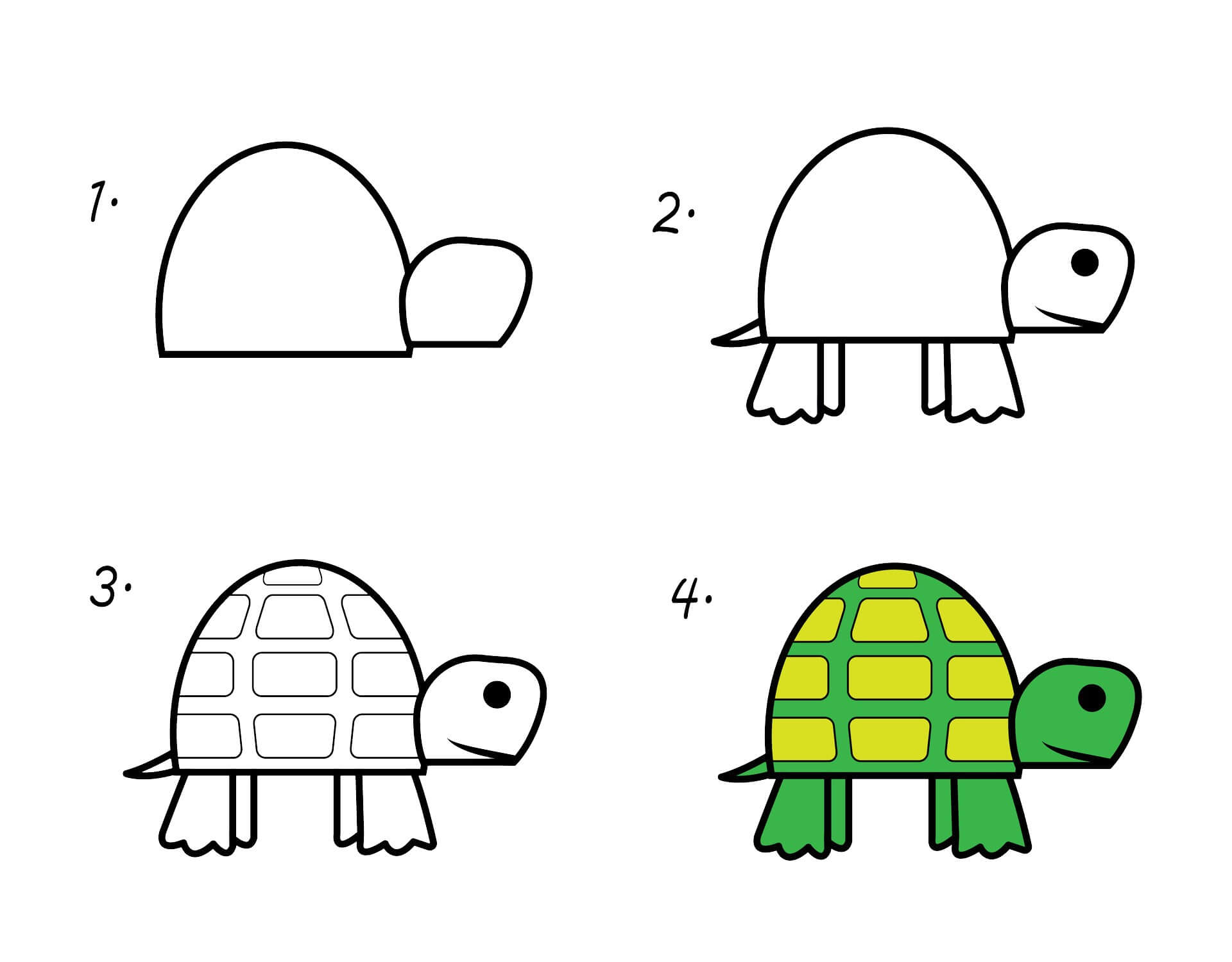 Desenhos de Tartaruga muito fácil