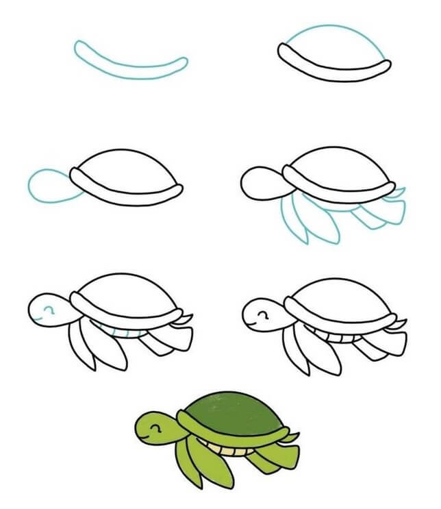 Desenhos de Tartaruga nada feliz