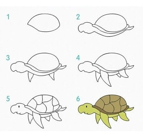 Desenhos de Tartaruga nadando velho