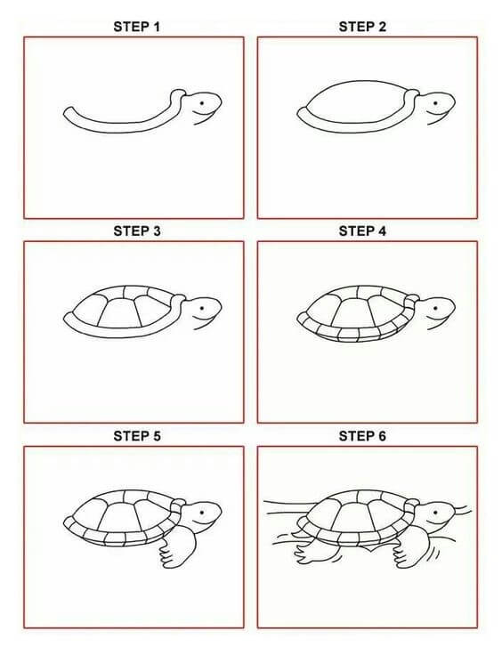Desenhos de Tartaruga no chão