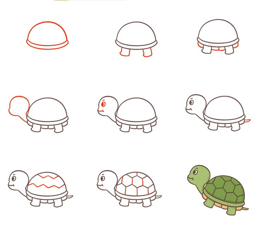 Desenhos de Tartaruga olha para cima