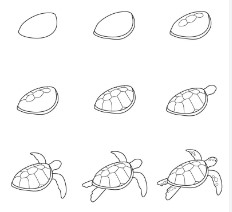 Desenhos de Tartaruga realista