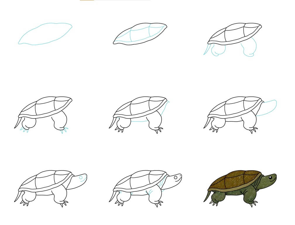 Desenhos de Tartaruga velha