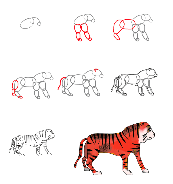 Desenhos de Tigre vermelho