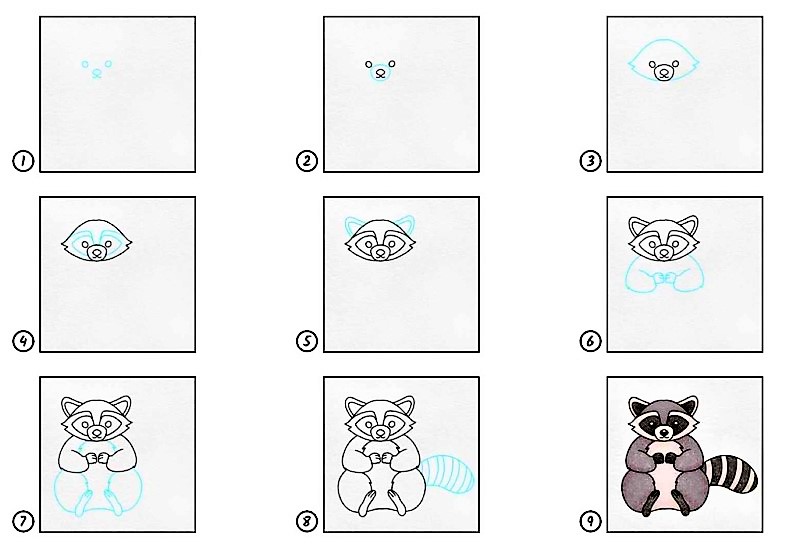 Desenhos de Um filhote de guaxinim