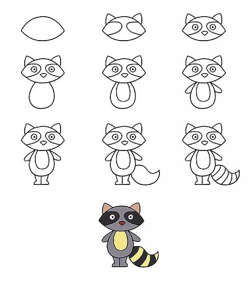 Desenhos de Um guaxinim básico