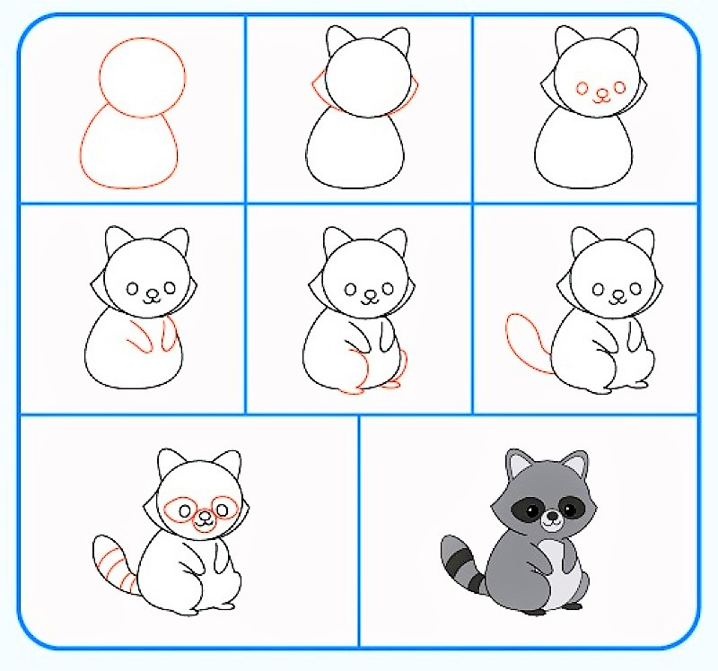 Desenhos de Guaxinins