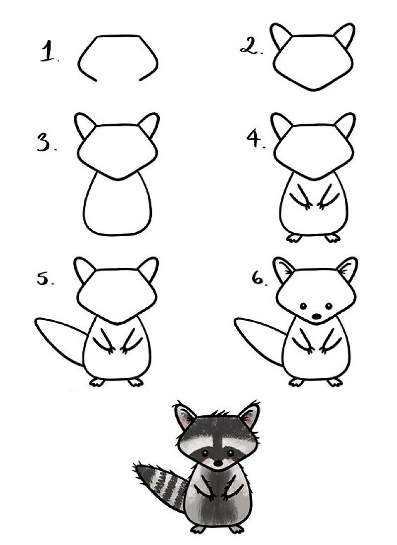 Desenhos de Um guaxinim livre