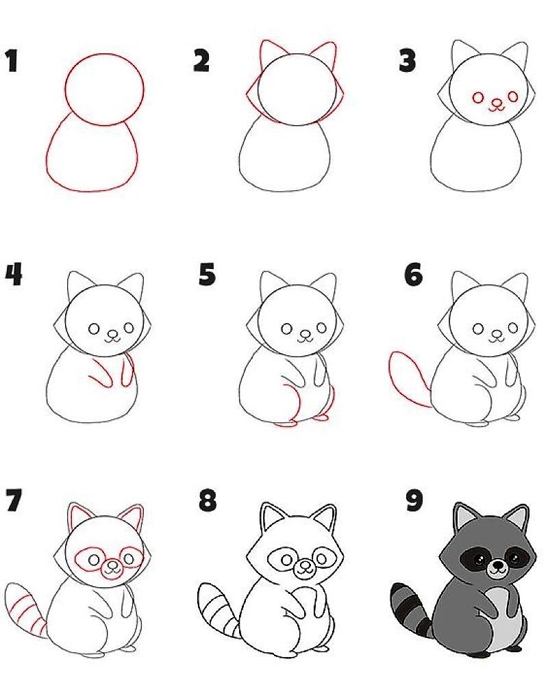 Desenhos de Um guaxinim sentado