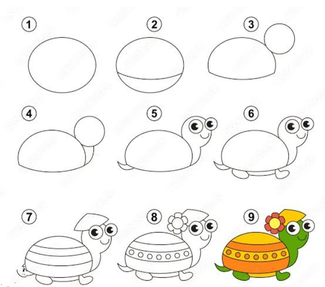 Desenhos de Uma linda tartaruga