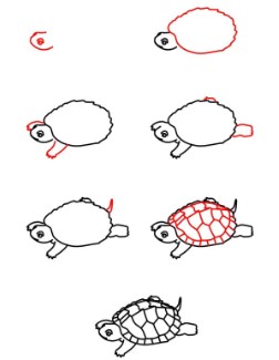Desenhos de Uma tartaruga detalhada