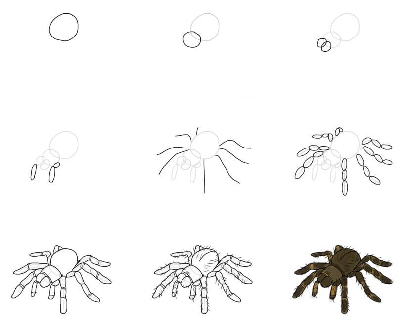 Desenhos de Aranha Grande