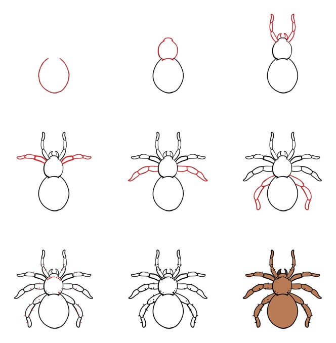 Desenhos de Aranha marrom