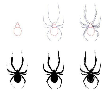 Desenhos de Aranha para imprimir