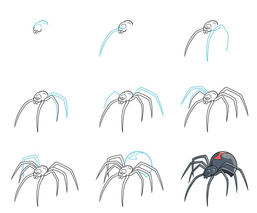Desenhos de Aranha peçonhenta