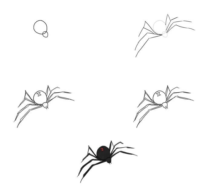Desenhos de Aranha pequena