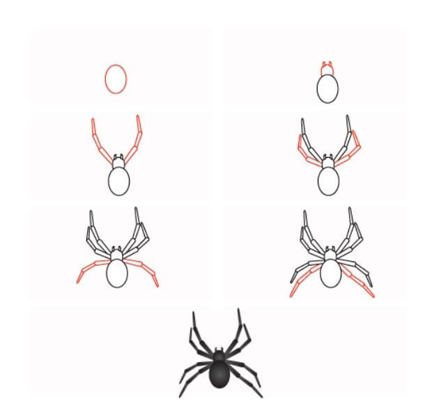 Desenhos de Aranha preta pequena
