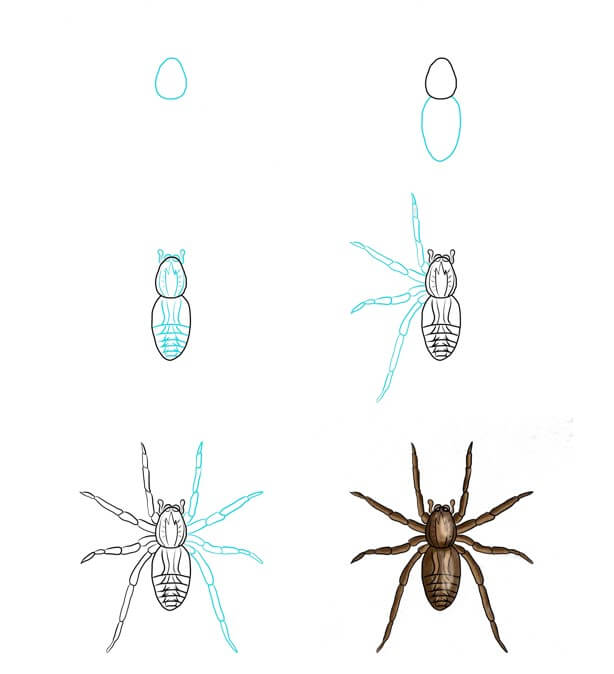Desenhos de Aranha realista