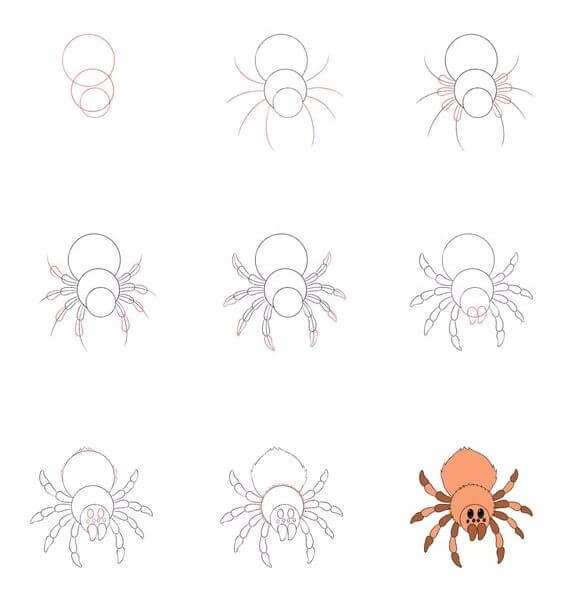 Desenhos de Aranha Rosa