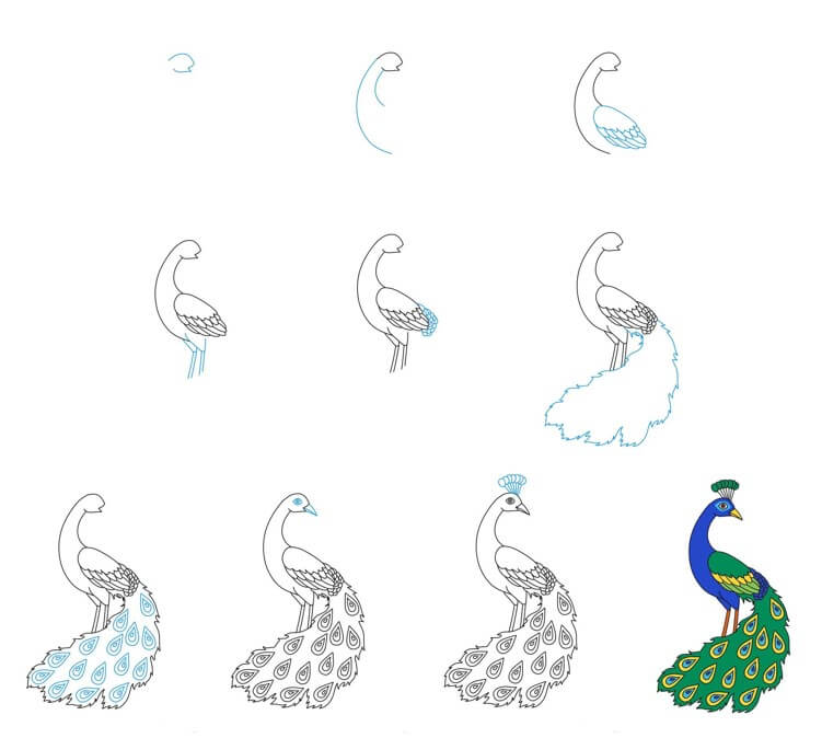 Desenhos de Beleza do pavão