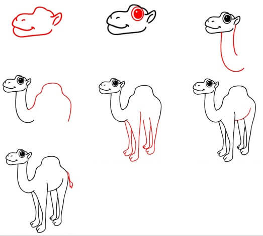 Desenhos de Camelo de olhos grandes
