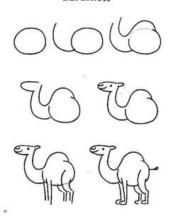Desenhos de Camelo simples