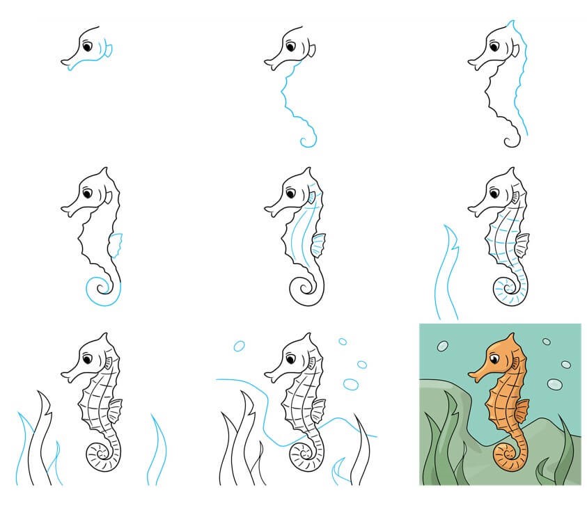 Desenhos de Cavalo-marinho do oceano