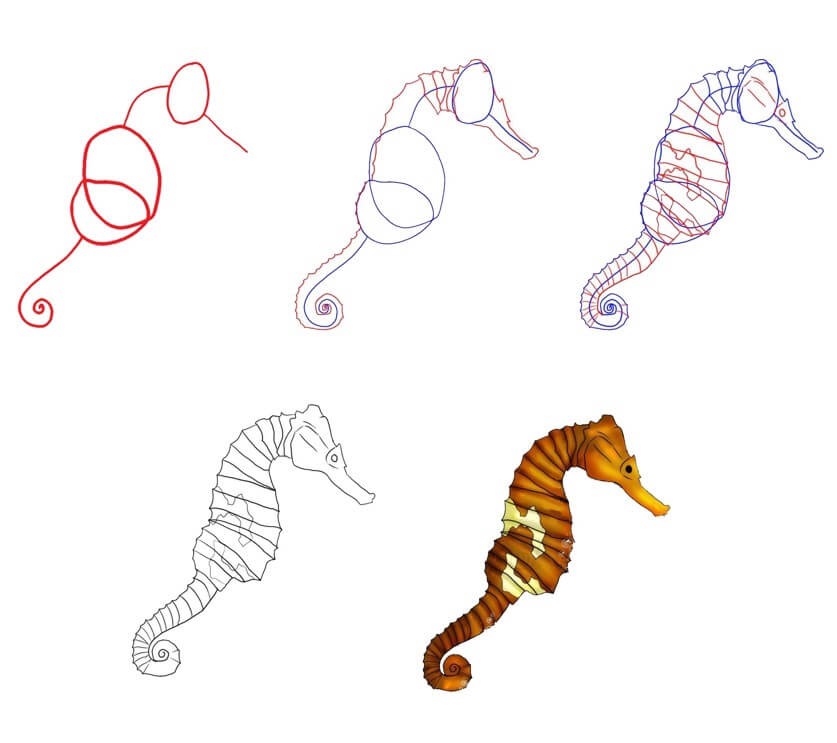 Desenhos de Cavalo-marinho realista