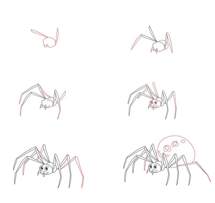 Desenhos de Contorno de aranha
