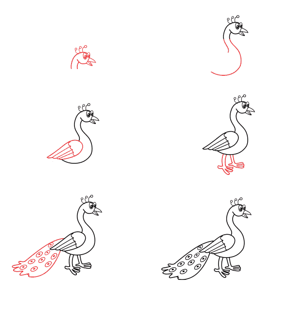 Desenhos de Contorno de pavão