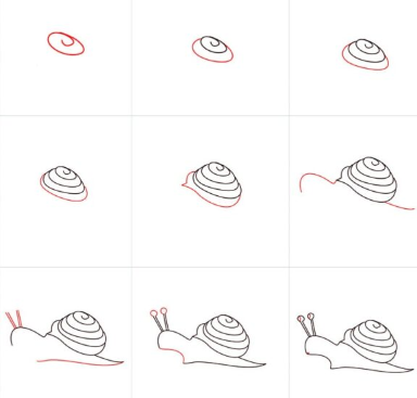 Desenhos de Ideia de caracol 13