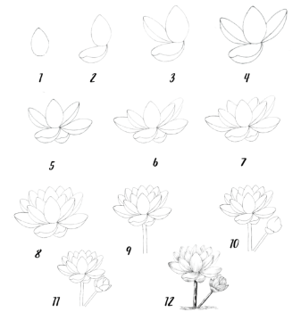 Desenhos de Ideia de lótus 8