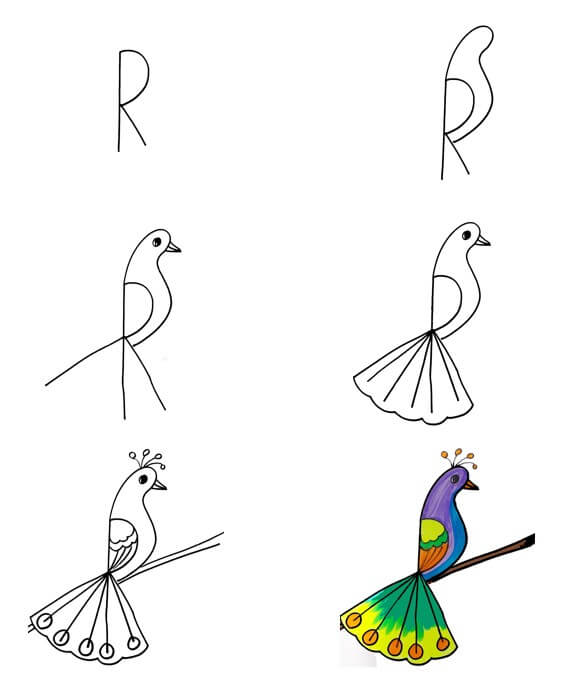 Desenhos de Imagem básica do pavão