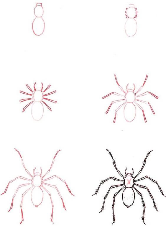 Desenhos de Imagem de aranha simples