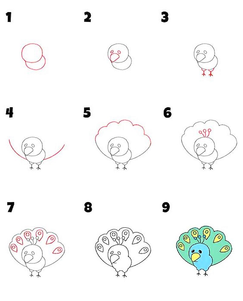 Desenhos de Imagem filhote pavão