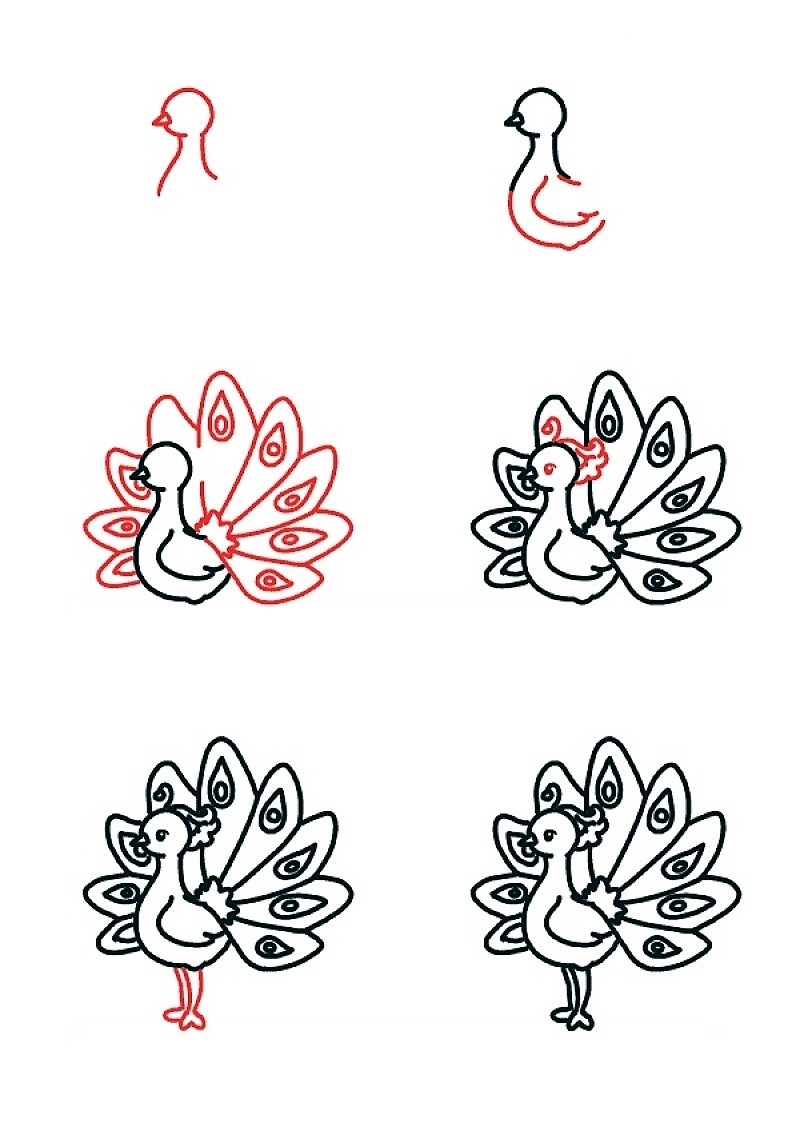 Desenhos de Imagem gratuita de pavão