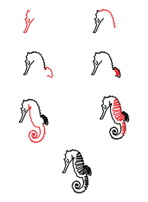 Desenhos de Imagem simples de cavalo-marinho