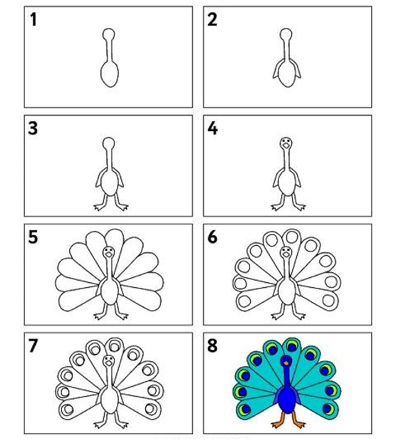 Desenhos de Imagem simples pavão