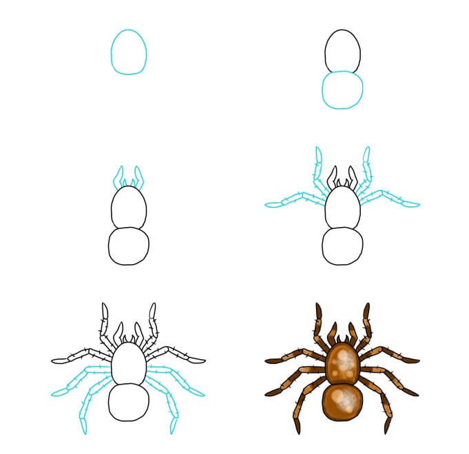Desenhos de Livre de aranhas