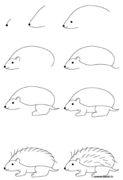 Desenhos de Ouriço básico